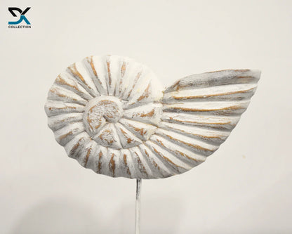 Carved Wood Shell Sculpture